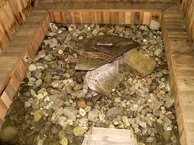 Pit for smoking salmon