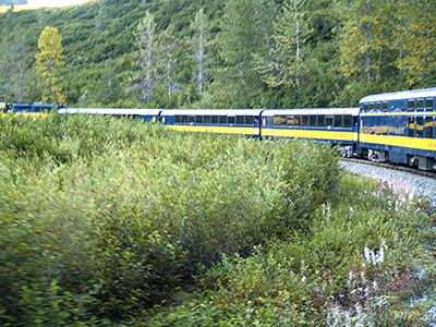 Train from Seward to Anchorage